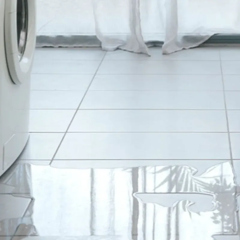 Appliance Leak Cleanup in Frankfort Square, IL