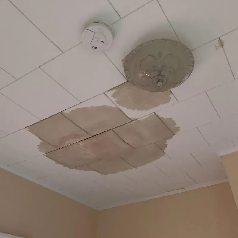 Ceiling Water Damage Repair in Frankfort Square, IL