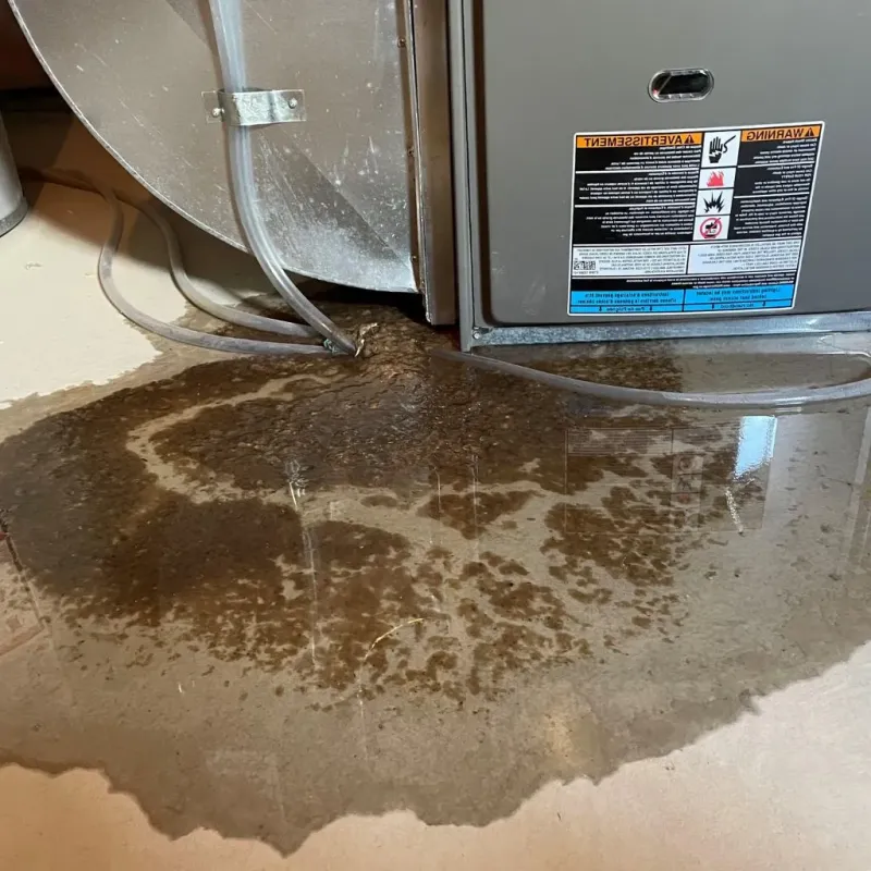 Pipe Burst and Leak Restoration in Frankfort Square, IL