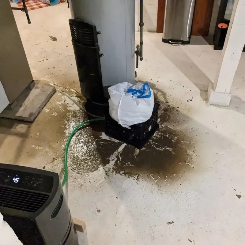 Sewage Backup Cleanup Service in Frankfort Square, IL